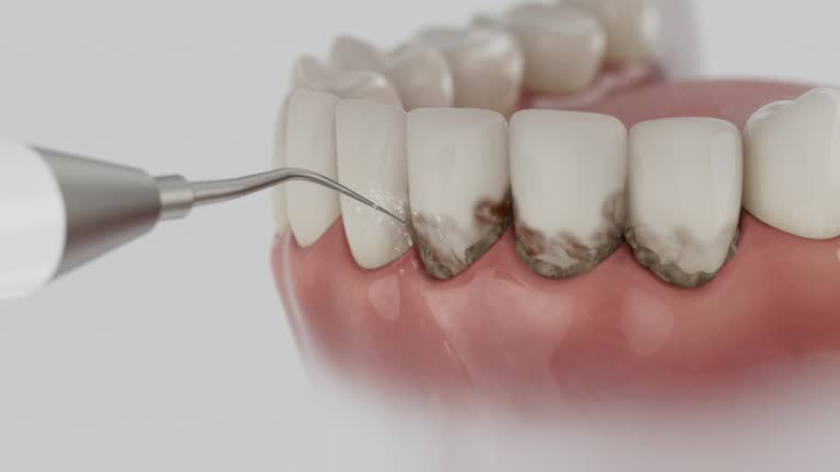 Reliable Dental contractor in West Yellowstone, MT by Dentist Open Now